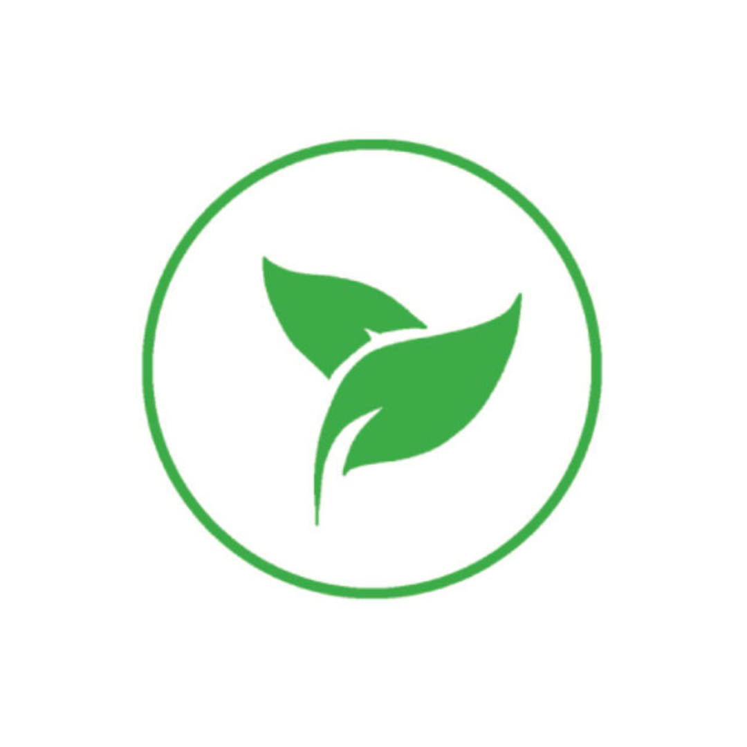 ShadeTree Canopies logo